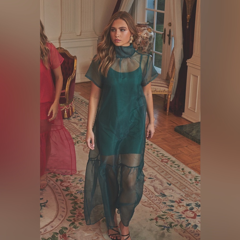 NWT Sugarlips Dime Organza Mockneck Maxi Dress in green